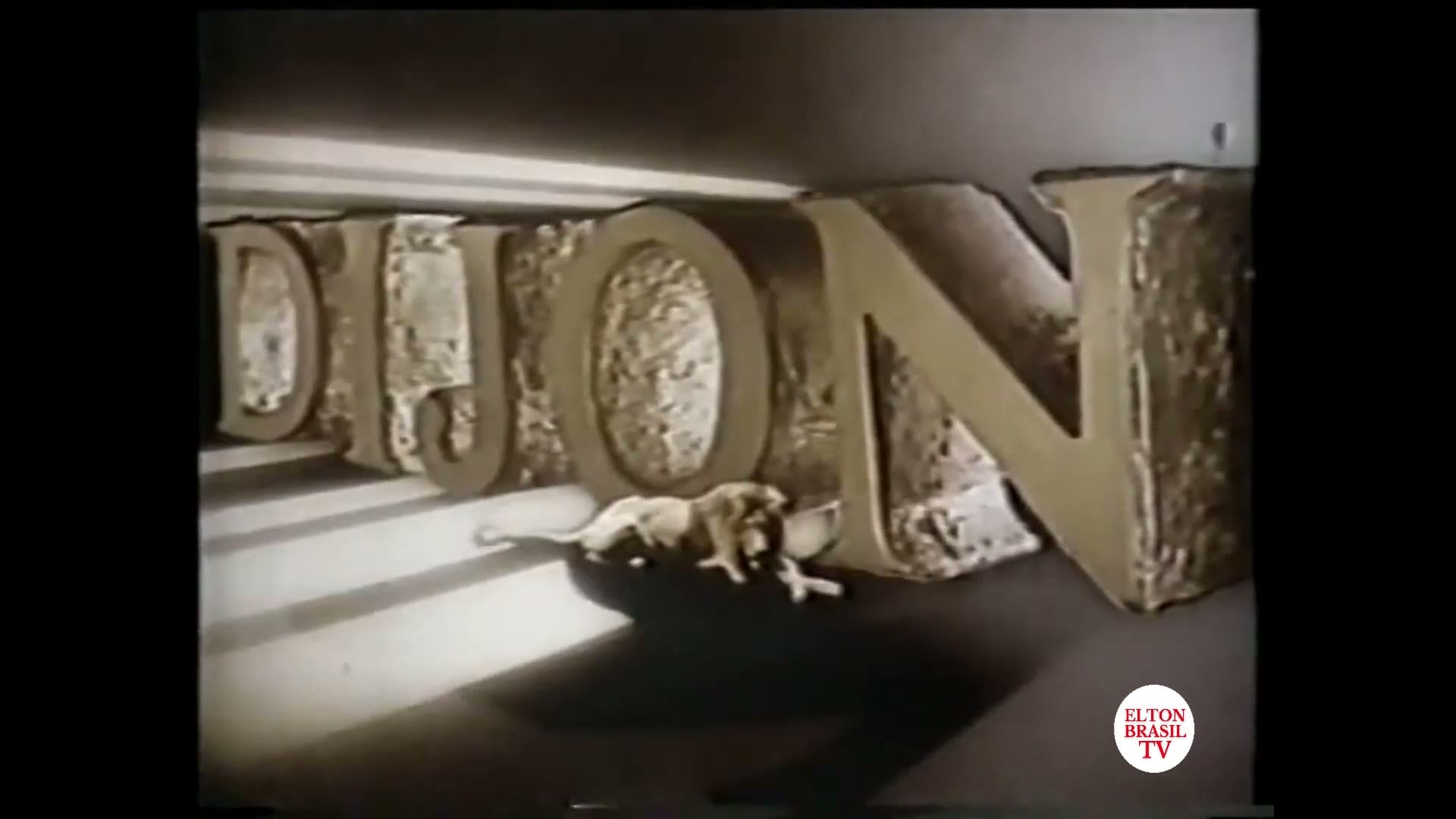 Comercial histórico da Dijon de 1988 com narração de Jorgeh Ramos e leão em 3D